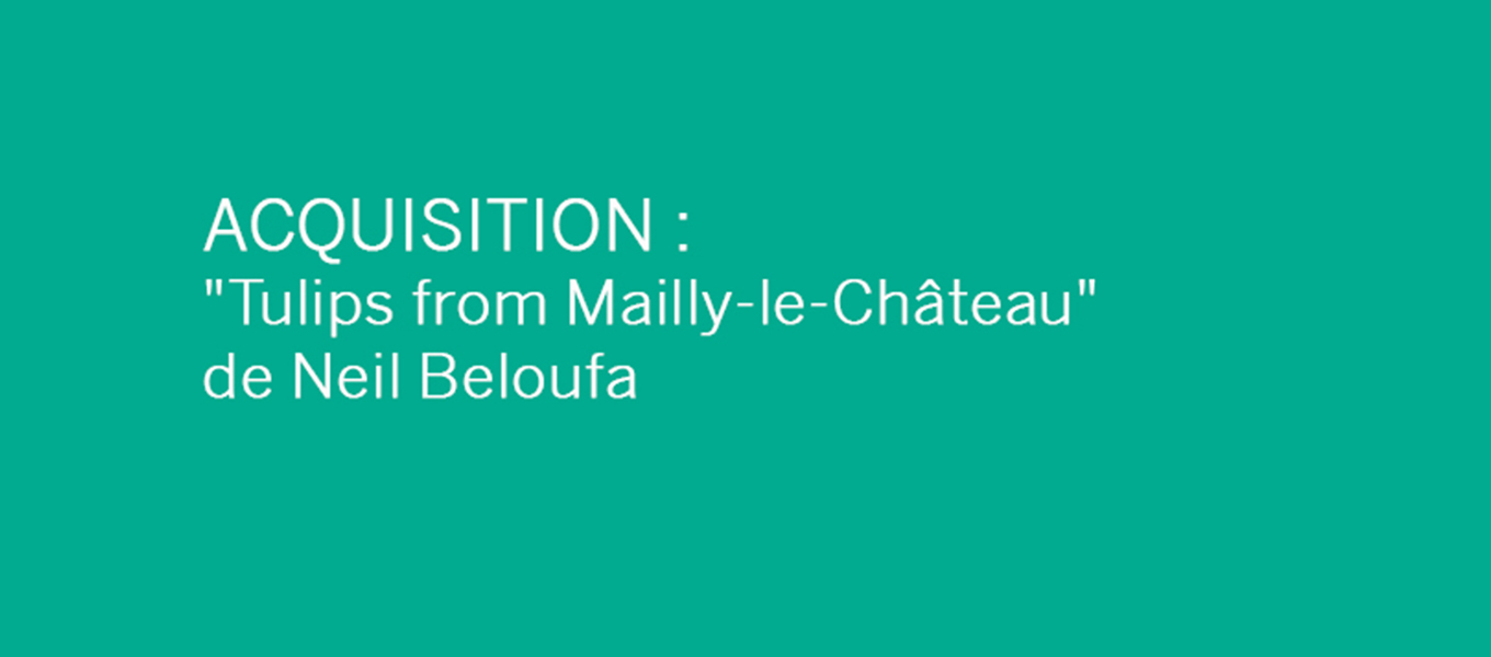 ACQUISITION : « Tulips from Mailly-le-Château » de Neil Beloufa